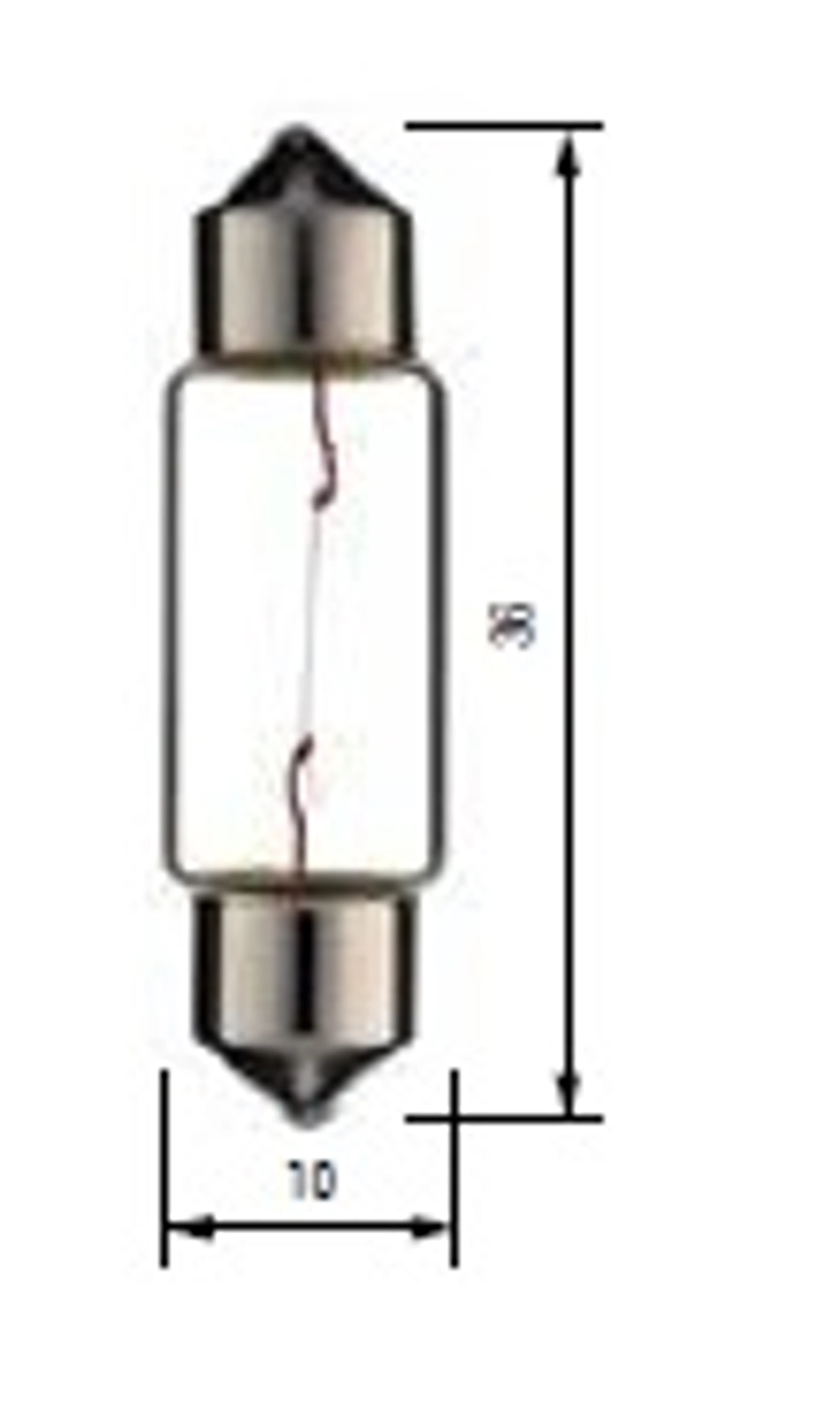 BOSMA SV8,5 (10X36) - 24V 5W C5W